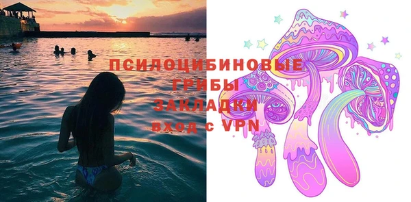 спиды Алексеевка